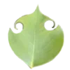 Стикер 13 Nature