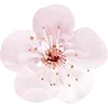 Стикер 54 Nature