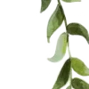 Стикер 58 Nature