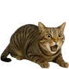 Стикер 3 Непослушный кот