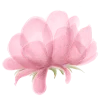 Стикер 37 #decor #font #flowers