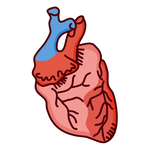 Стикер 27 NebievaMedicine