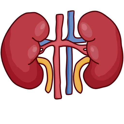 Стикер 23 NebievaMedicine