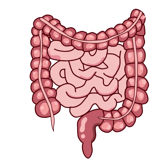 Стикер 24 NebievaMedicine