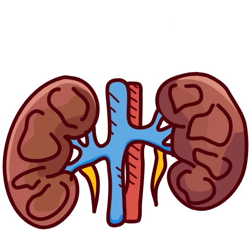 Стикер 34 NebievaMedicine