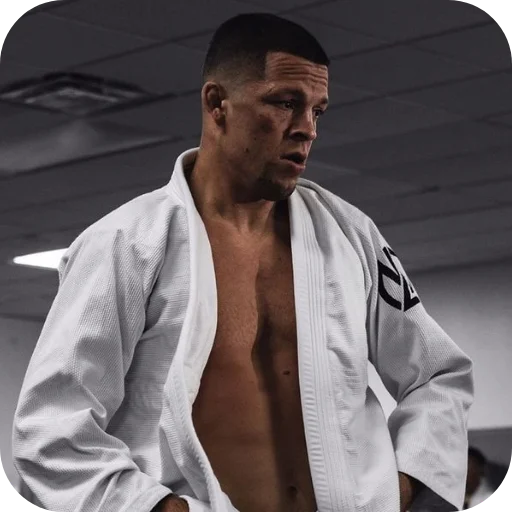 🧥 Стикер «Nate Diaz» для Telegram