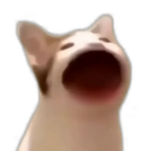 🐱 Стикер «Laincore» для Telegram