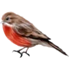 🐦 Эмодзи «Новый год» для Telegram