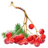 🍒 Эмодзи «Новый год» для Telegram