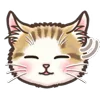 Стикер 50 Nyanko