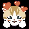 Стикер 43 🥰 Видеоанимированный набор эмоджи с анимешным котиком Нянко
