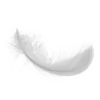 Стикер 24 White #white #color #cute #status