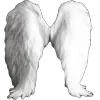 Стикер 23 White #white #color #cute #status