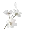 Стикер 17 White #white #color #cute #status