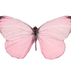 🦋 Эмодзи «ᥴ᥆ᥣ᥆rs ︎» для Telegram