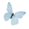 🤩 Эмодзи «ᥴ᥆ᥣ᥆rs ︎» для Telegram