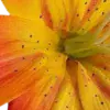 Стикер 34 Orange