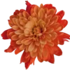 Стикер 32 Orange