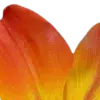 Стикер 26 Orange