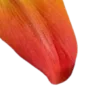 Стикер 42 Orange
