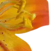 Стикер 35 Orange
