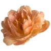 Стикер 10 Orange
