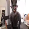 Стикер 6 😏🤨🫥😂🥴😎👎🤔❌😱😩