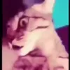Стикер 3 😏🤨🫥😂🥴😎👎🤔❌😱😩
