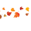 Стикер 61 🍁🍂🍂🍂🍂🍂