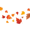 Стикер 60 🍁🍂🍂🍂🍂🍂
