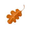 Стикер 48 🍁🍂🍂🍂🍂🍂