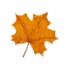 Стикер 47 🍁🍂🍂🍂🍂🍂