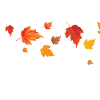 Стикер 59 🍁🍂🍂🍂🍂🍂