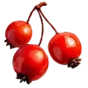 Стикер 14 Осенние Листья