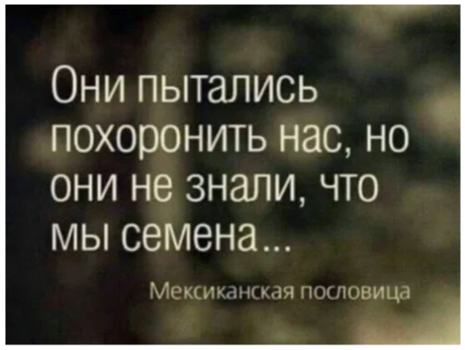 🌻 Стикер «Интересные» для Telegram