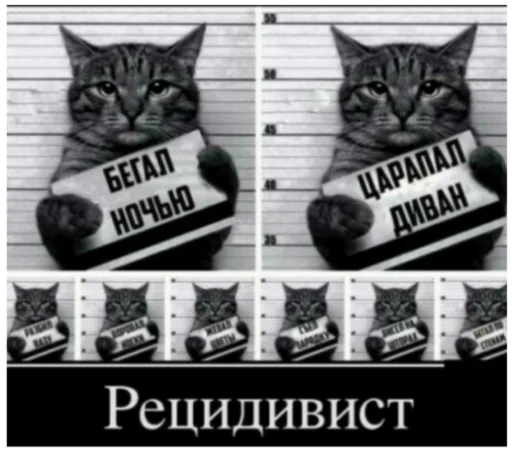 😂 Стикер «Интересные» для Telegram