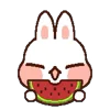 Стикер 16 Rabbit Emoji