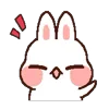 Стикер 9 Rabbit Emoji