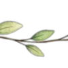 🌱 Эмодзи «буквы и цветы» для Telegram