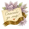 Стикер 45 Стикерпак
