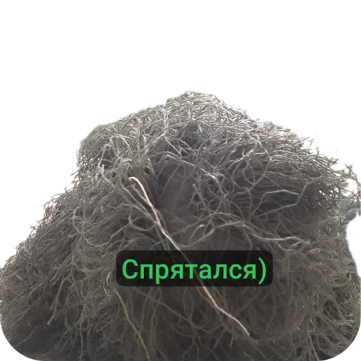 🌿 Стикер «Партизанчик» для Telegram