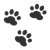 Стикер 59 Paws Collection