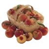 Стикер 8 Peachshell