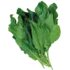 Стикер 5 Peachshell