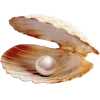Стикер 16 Peachshell