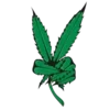 Стикер 36 Pedobearstaticemoji