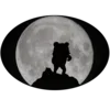 Стикер 22 Pedobearstaticemoji