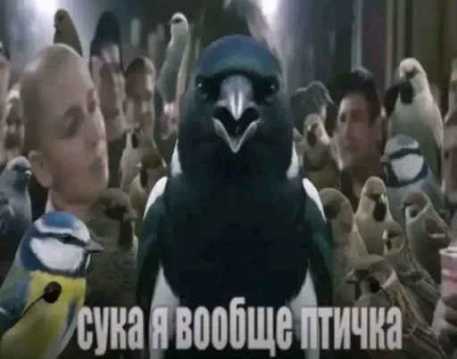 🤩 Стикер «Пэп» для Telegram