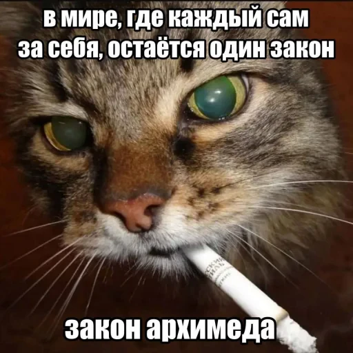 🤩 Стикер «Пэп» для Telegram