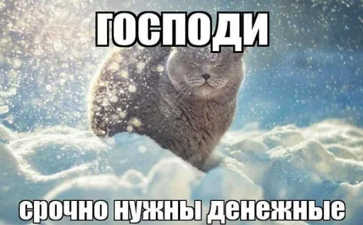 🤩 Стикер «Пэп» для Telegram